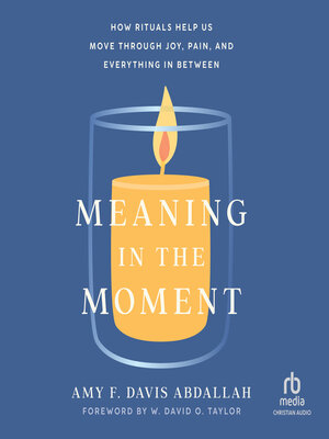 Meaning in the Moment - Audiobook